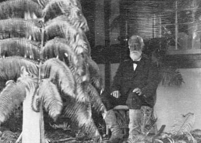 Archival photo of Lyman.