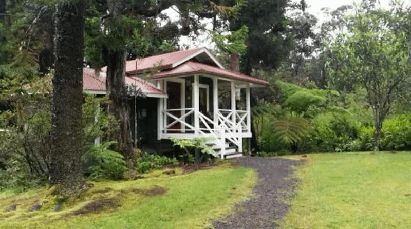 HaleOhiaTract Hale Ohia tract