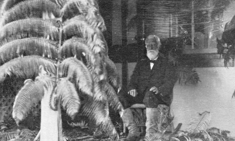 Lyman Archival photo of Lyman.